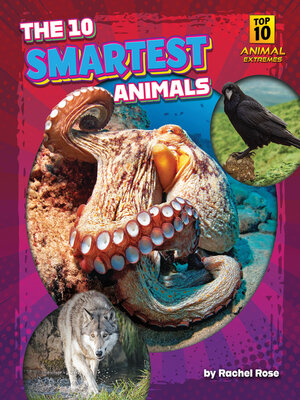 cover image of The 10 Smartest Animals
